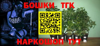 наркотики Сланцы