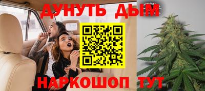 стафф Славгород
