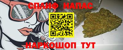 стафф Славгород