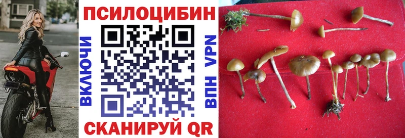Галлюциногенные грибы ЛСД  Сокол 