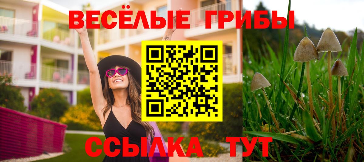 Амфетамин Сокол