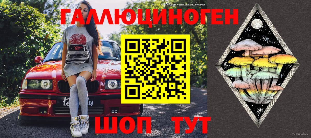 Галлюциногенные грибы GOLDEN TEACHER Сокол